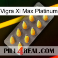 Vigra Xl Max Platinum cialis1